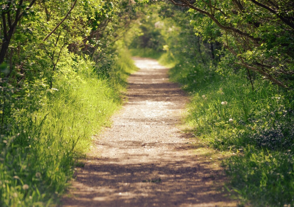 山道